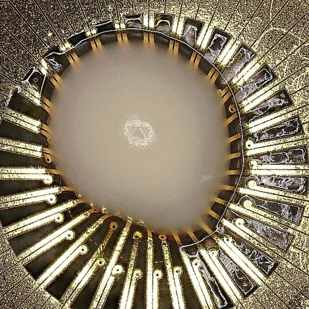 3DMap new flexible electrode plate for organoid research on Maestro MEA